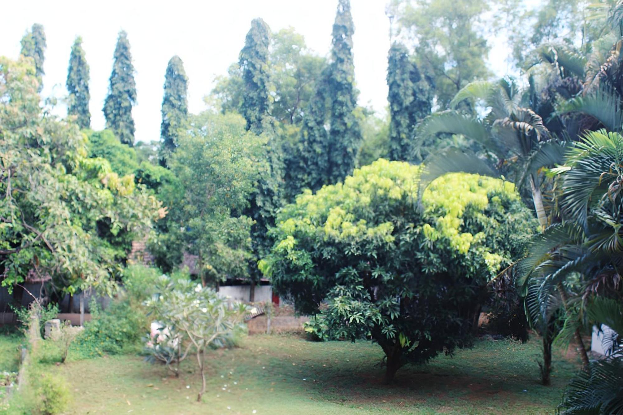 Ronne'S Little Baga Service Apartments Exterior foto